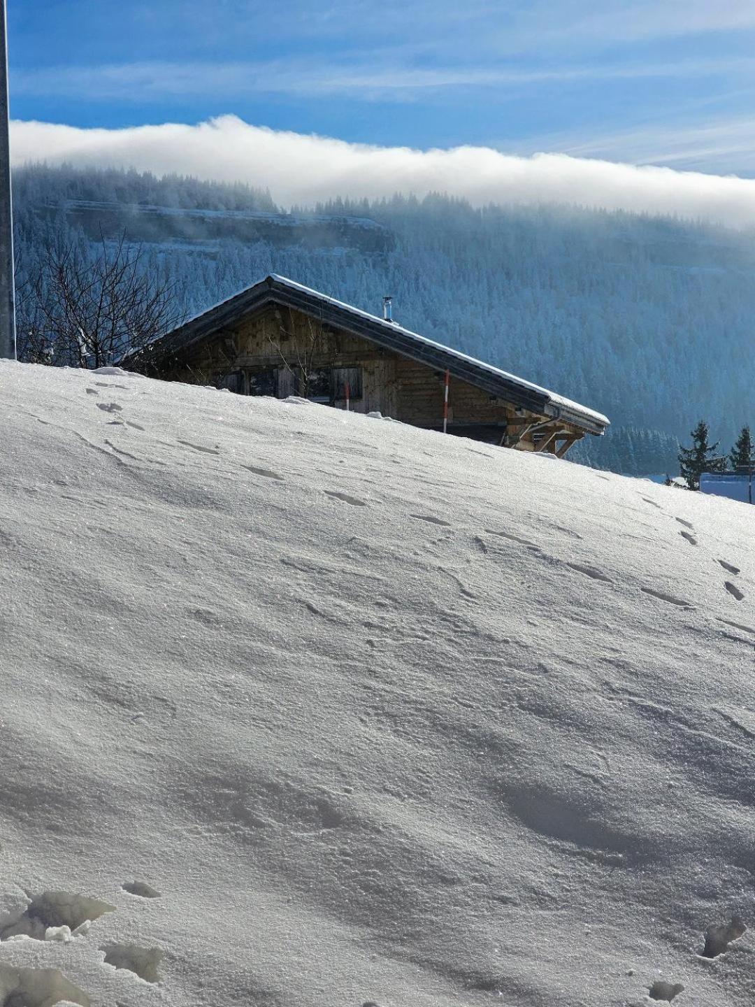 Magnifique Appartement A La Montagne Classe 4 Etoiles Chapelle-des-Bois Exterior foto
